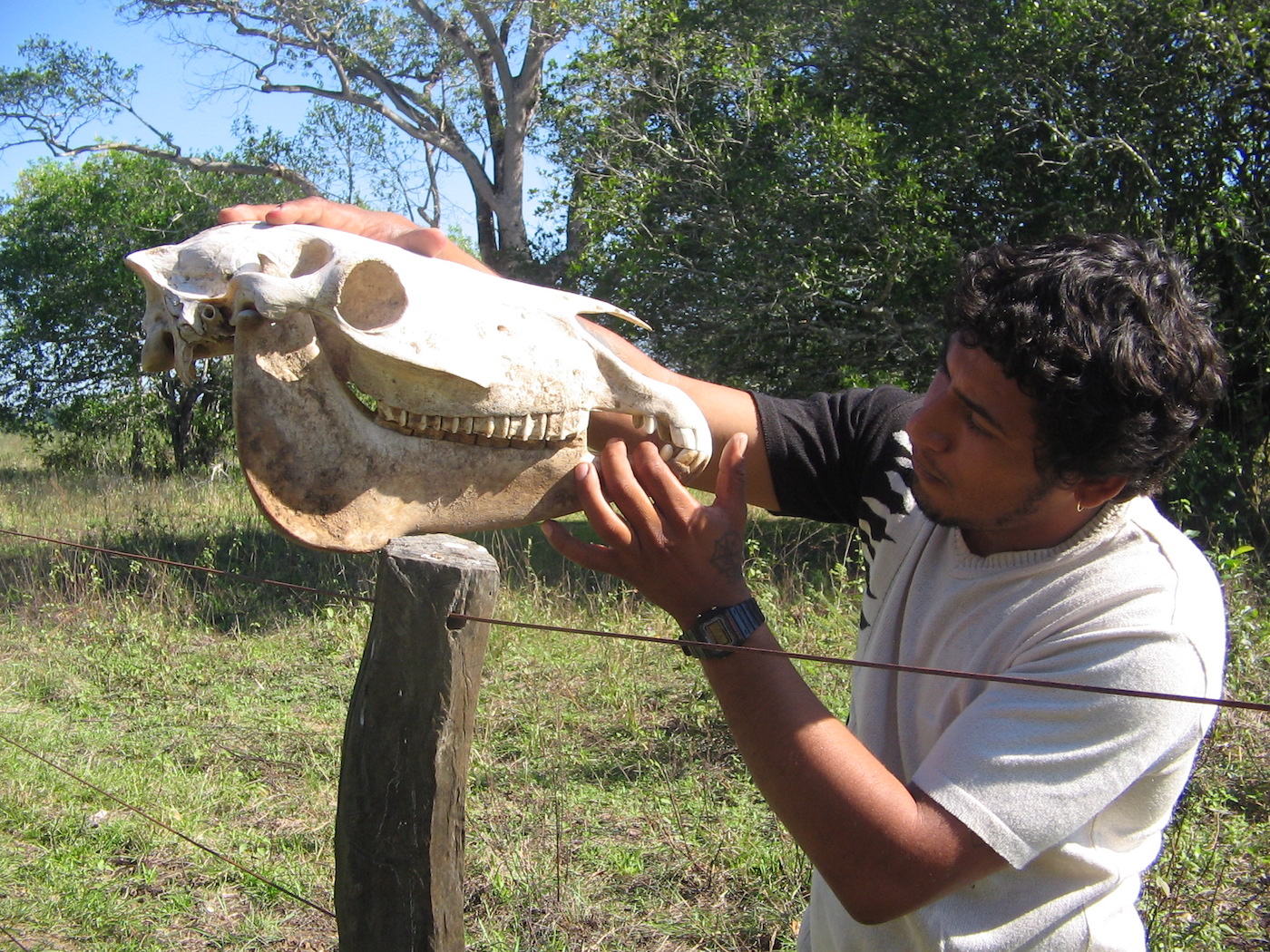 Contact met locals brazilie