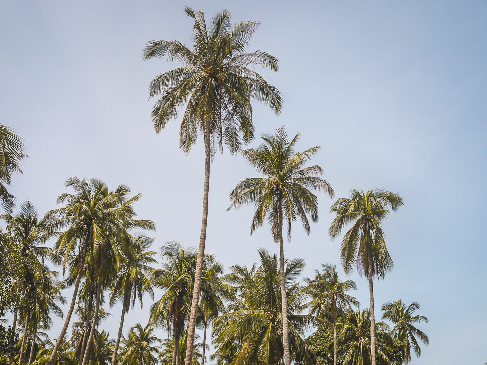 Eilandhoppen Thailand