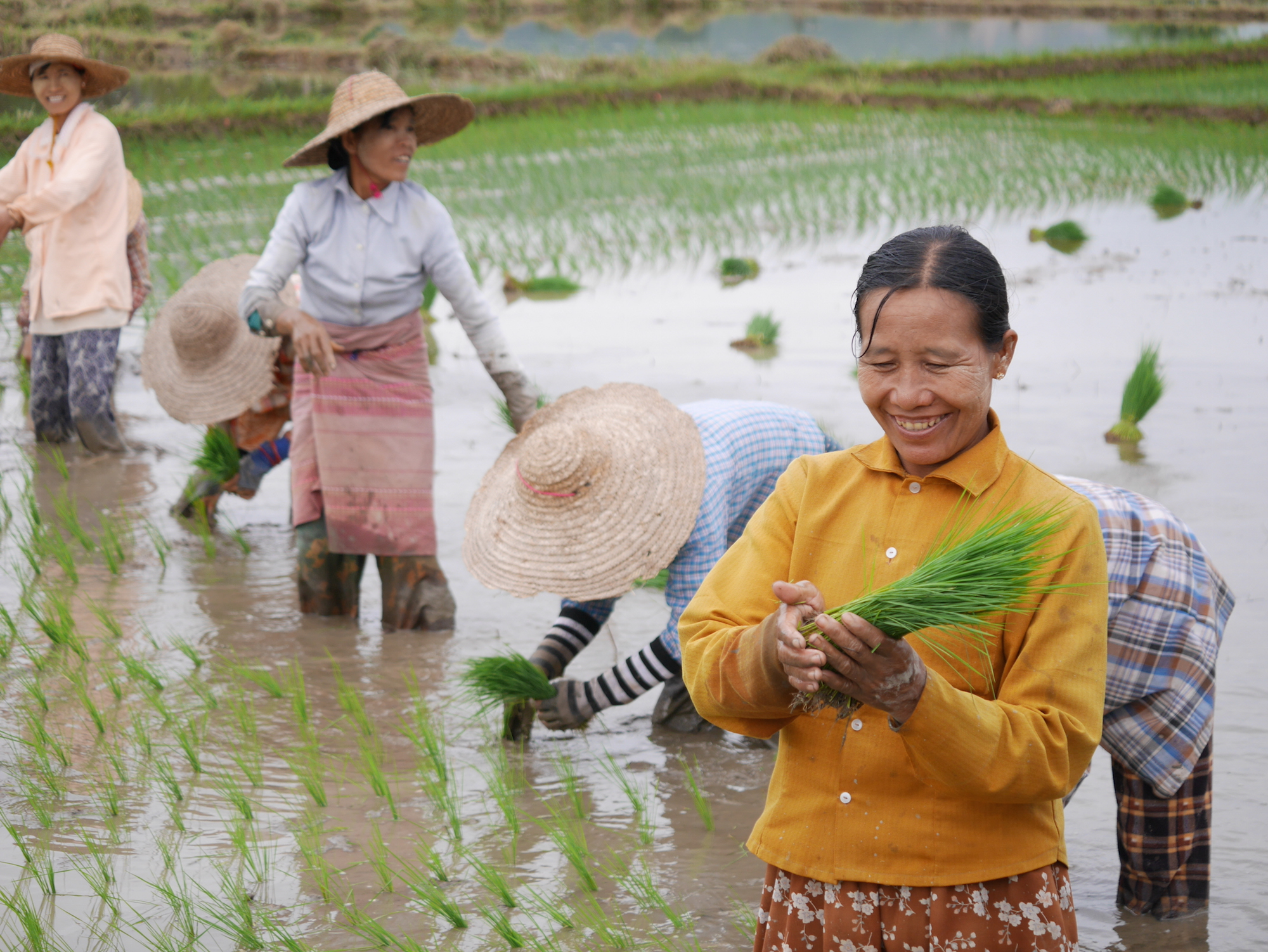 Myanmar reizen Inle Meer