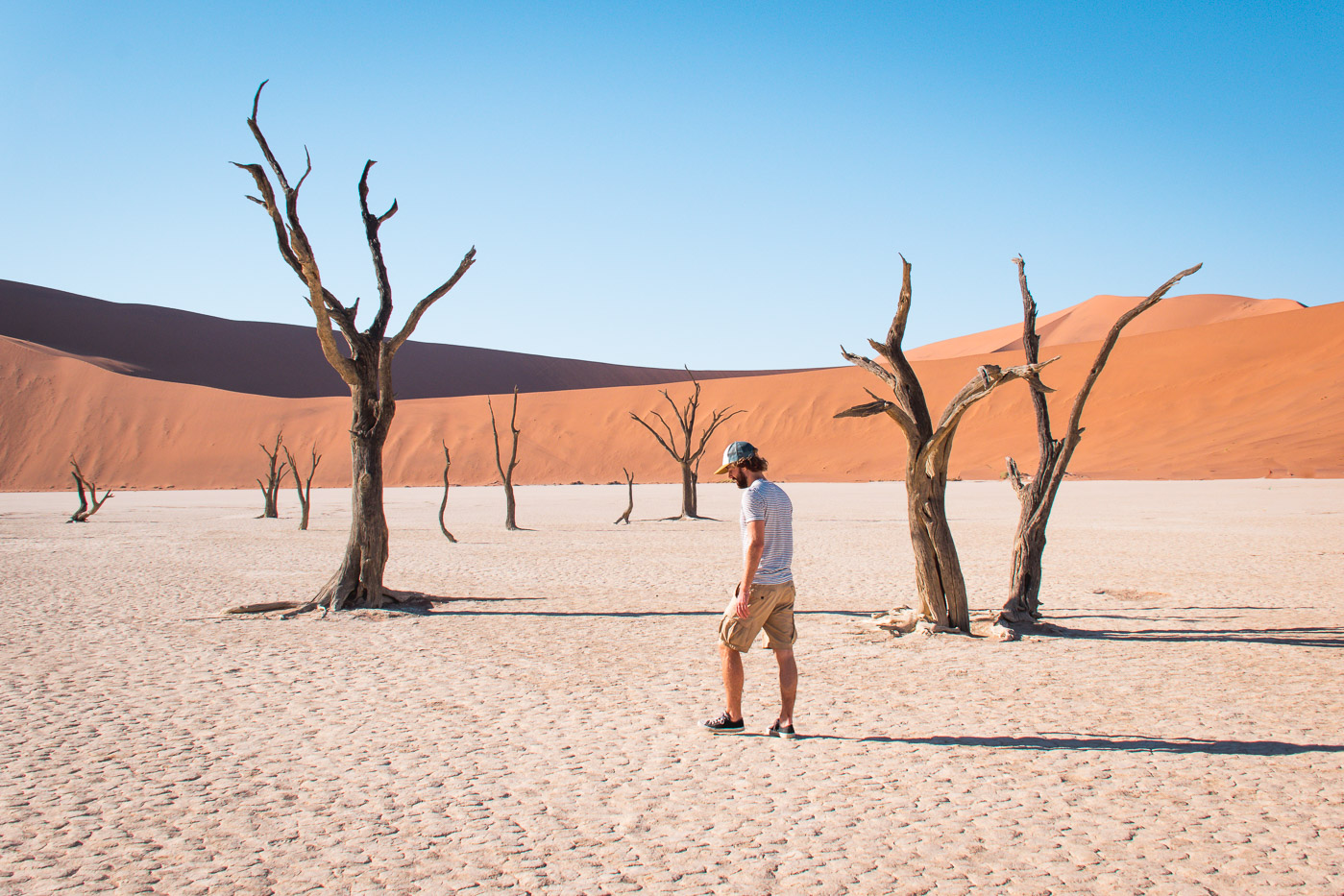 Sossusvlei namibie Deadvlei-3