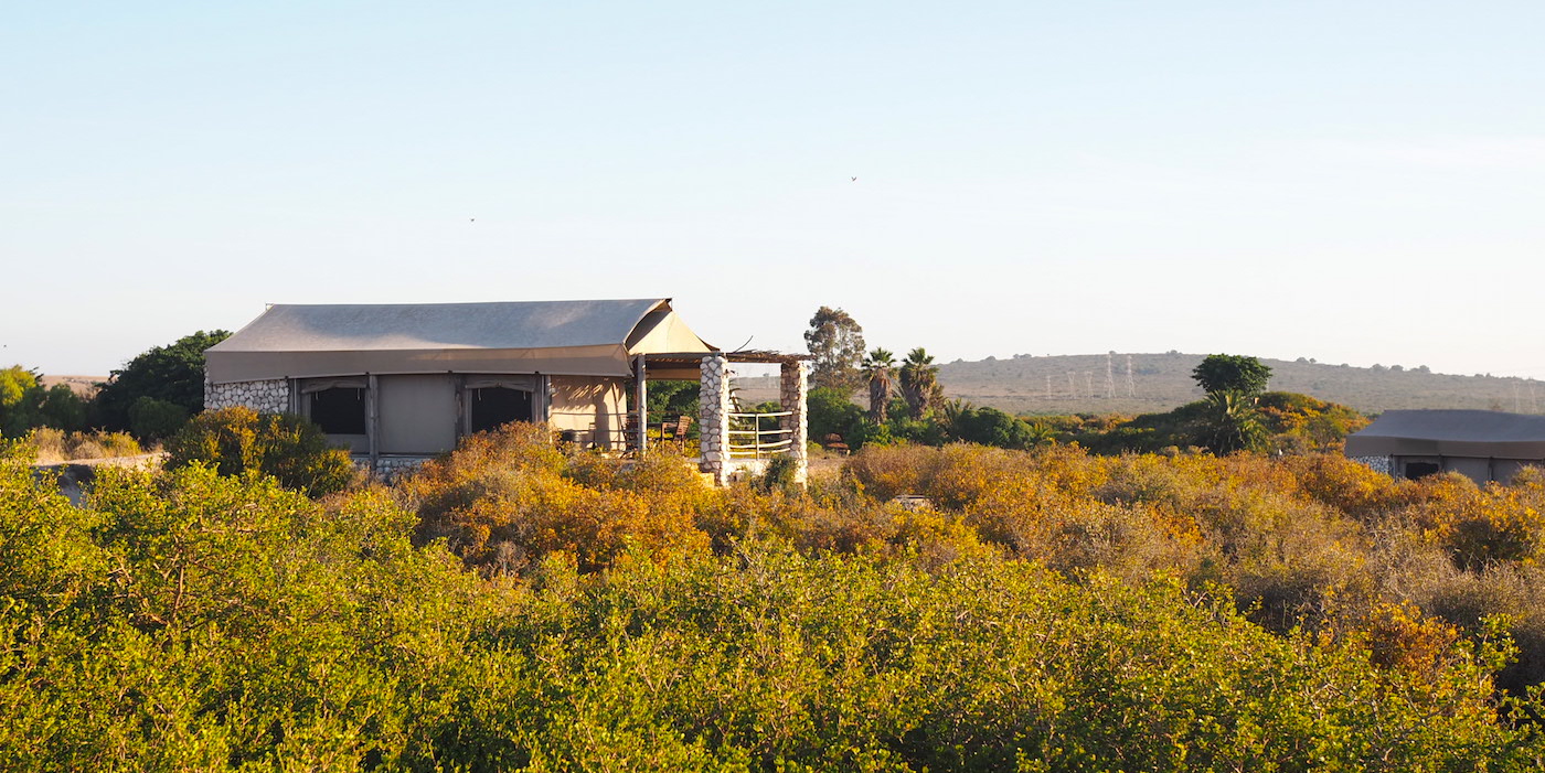 Thali Thali Game Lodge