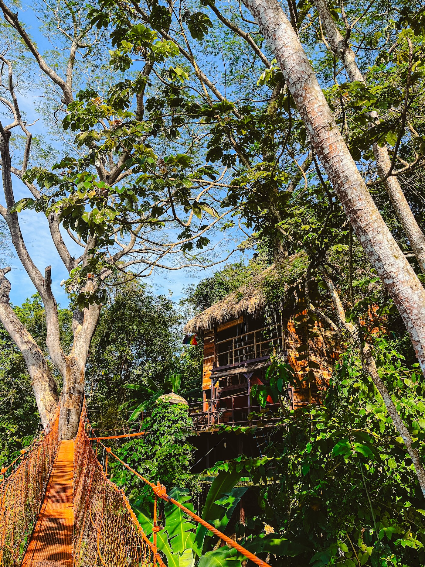 Treehouse Nicaragua