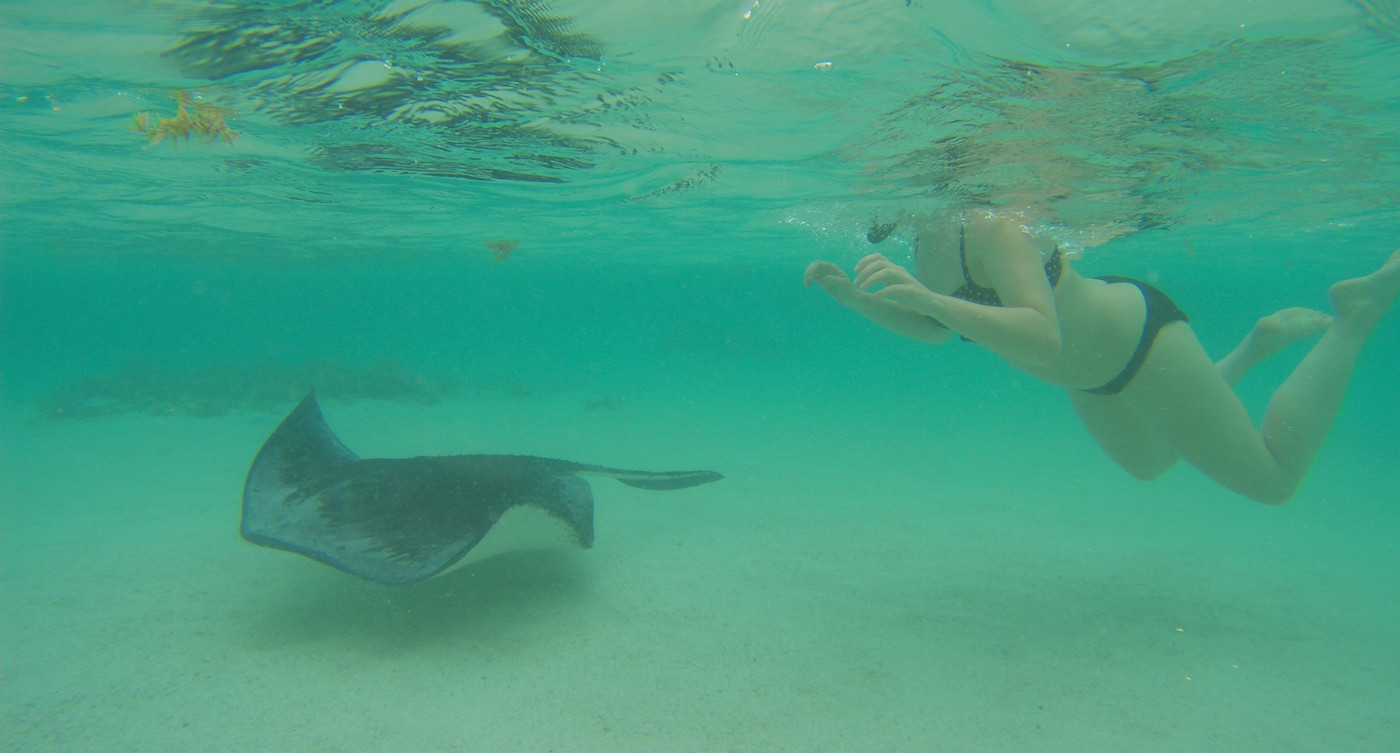 Vakantie Antigua Barbuda to do tips