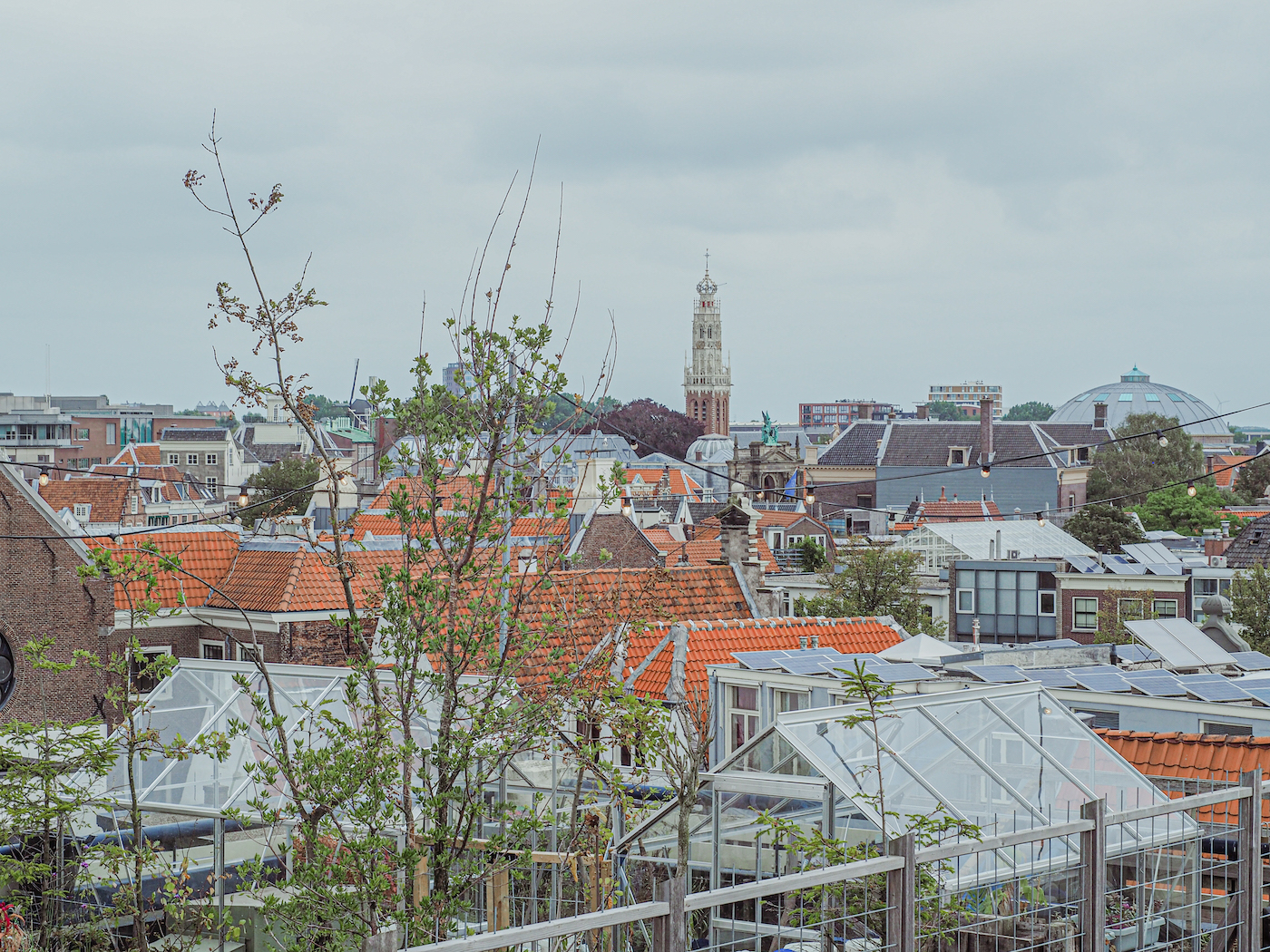 Wat te doen in Haarlem