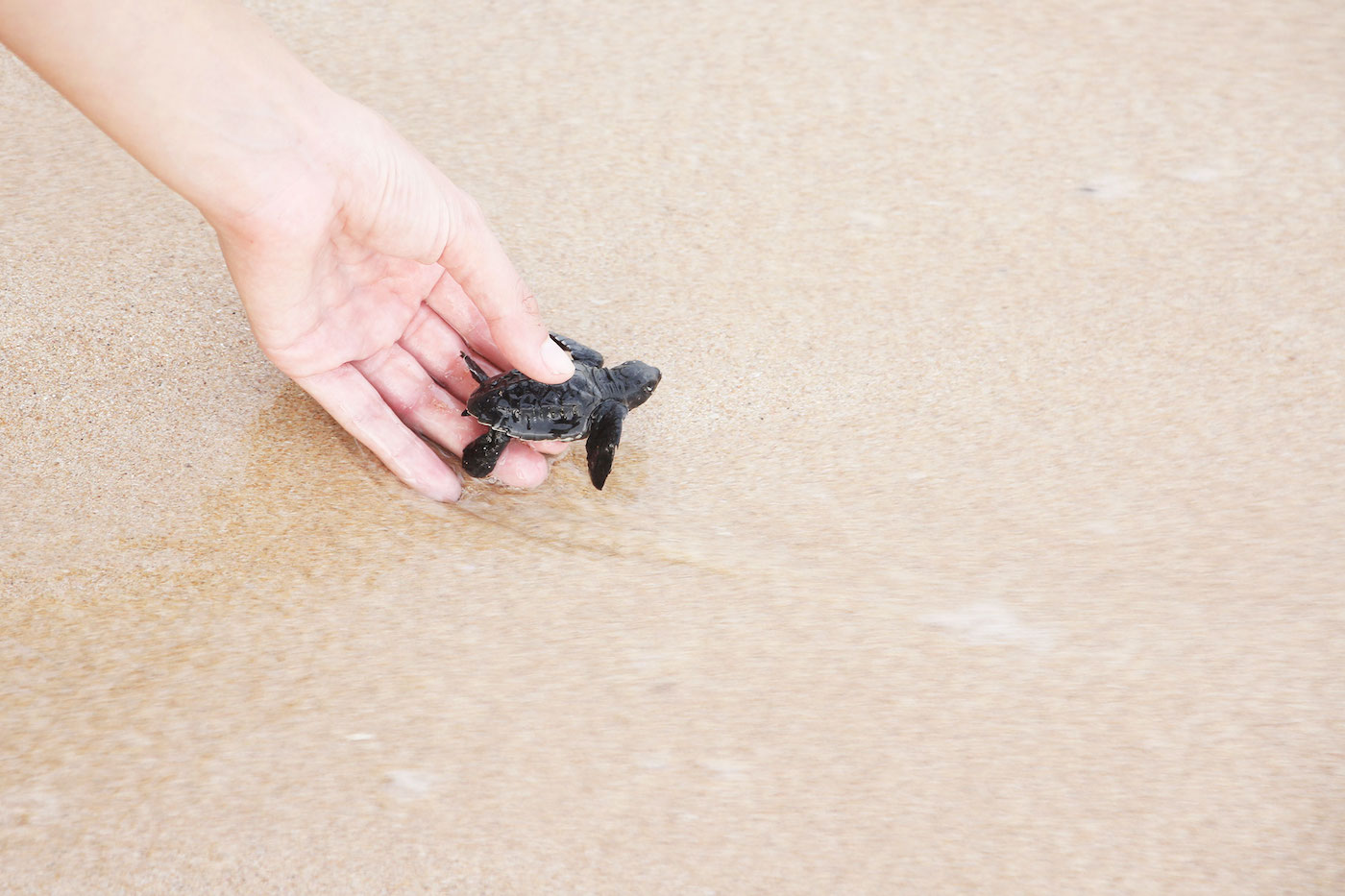 Weligama Sri lanka Strand