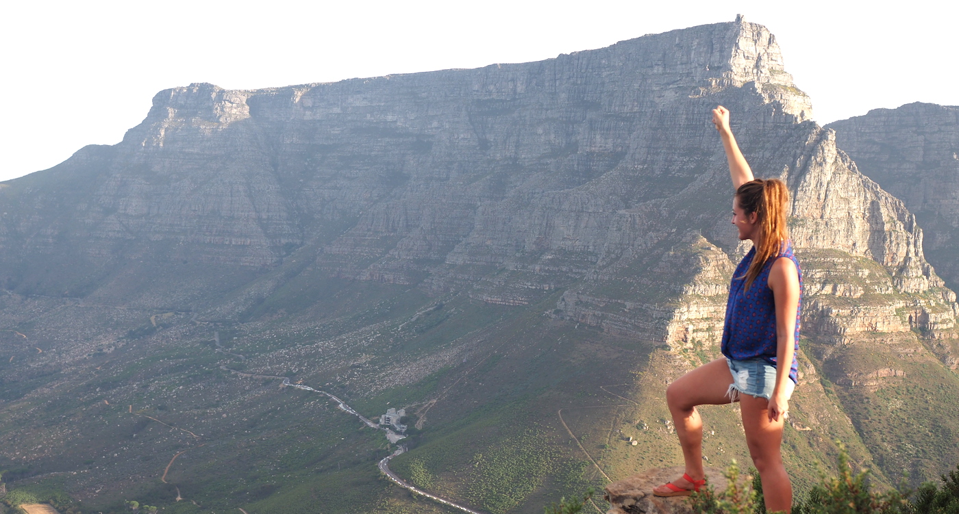 Zuid Afrika lions head