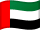 Dubai vlag