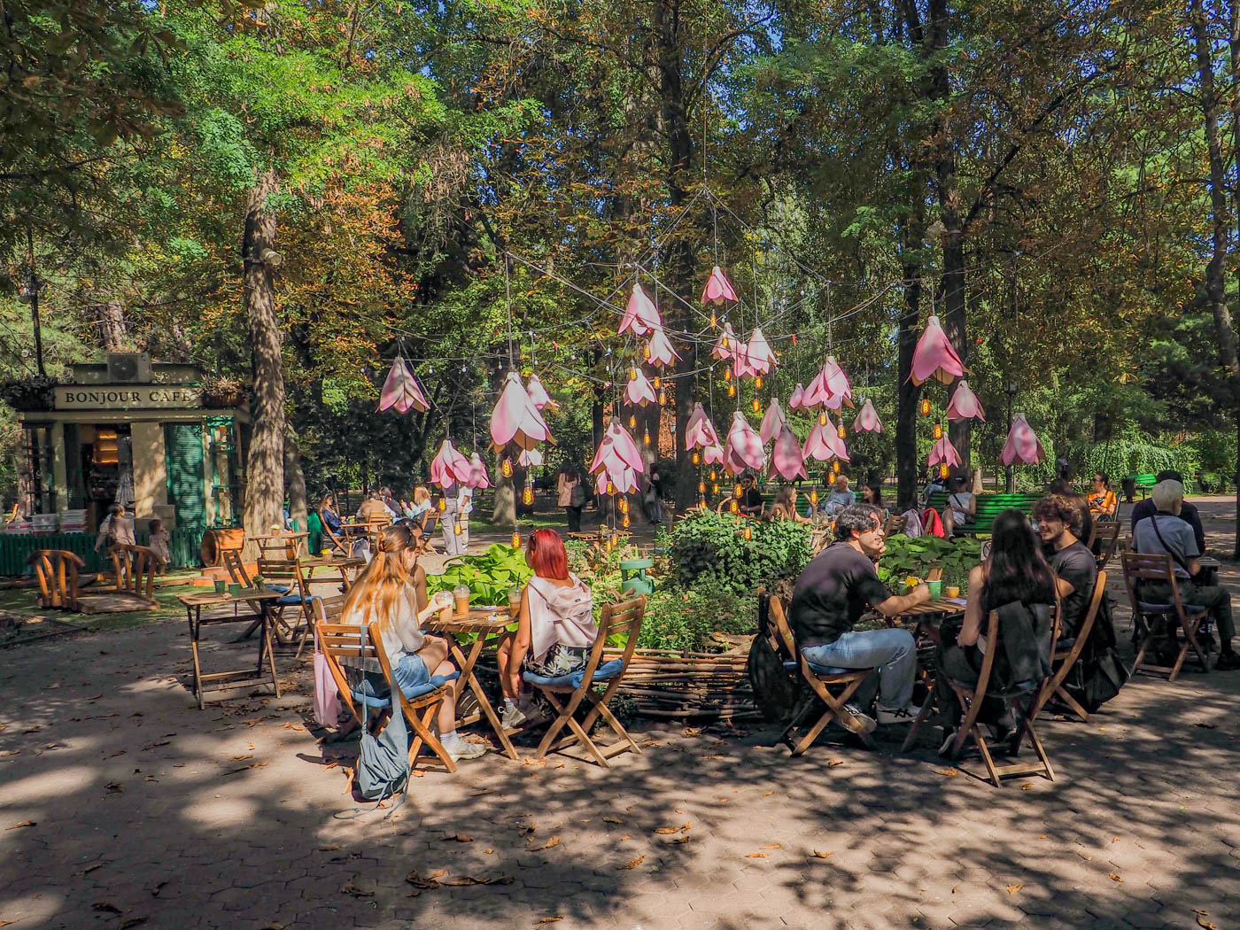 Bonjour cafe Chisinau