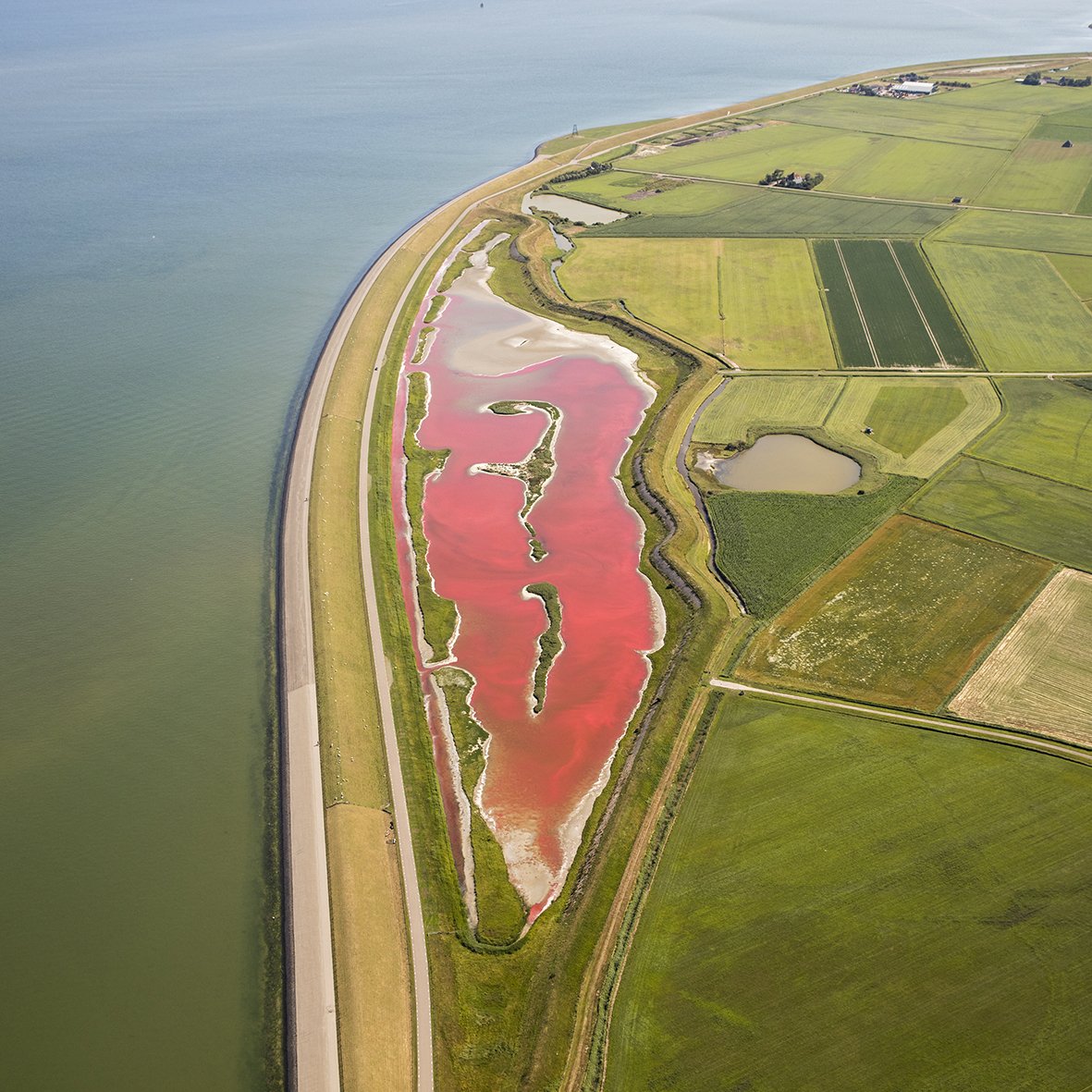 roze meer op texel