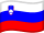 vlag slovenie